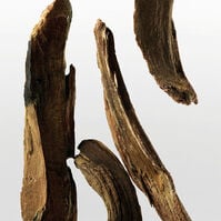 CK ONE ESSENCE  100ml-223848 CK ONE ESSENCE  100ml-223848 4